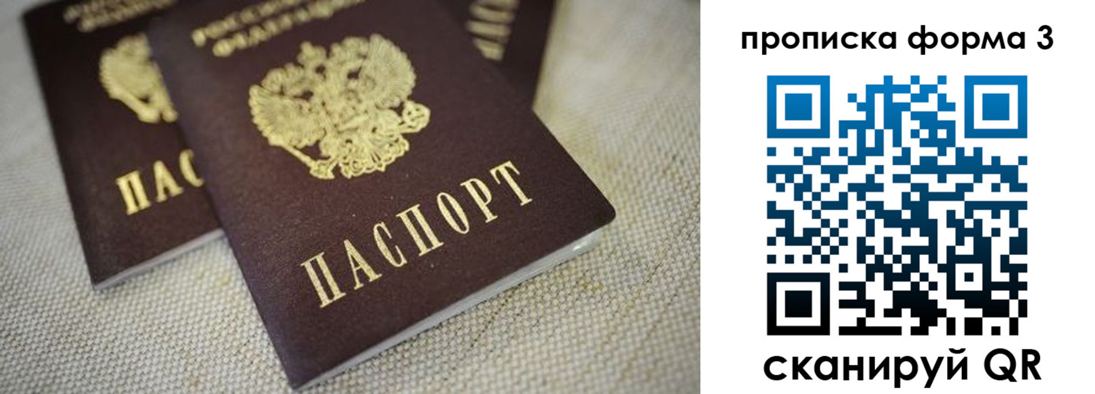прописка поиск в Лесном